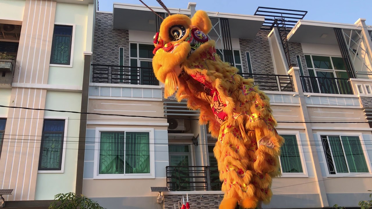 ម៉ុងសាយ2021 ជុងយុីថាំង មានទទួលសម្ភោធគ្រប់កម្មវិធី 柬华理事总会 忠義堂第一组狮团 邬亚西 011667118_016393106