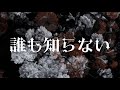 「誰も知らない」ANA®KIE ユニット曲