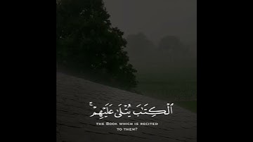 تلاوه خاشعه| قمة الهدوء والسكينه |القارئ عبدالرحمن مسعد 💕