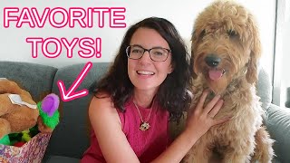 Favorite Dog Toys Goldendoodle Puppy