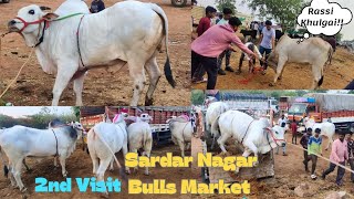 2nd Visit- Sardar Nagar Bulls Market | Mashallah Heavy And Beautiful Bulls | Bulls K Prices 🔥🔥 |🐂🐃🐄