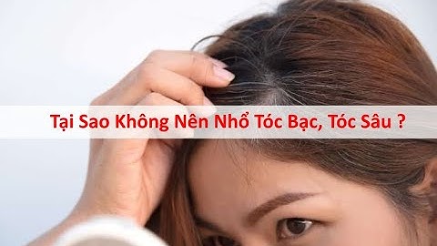 Tại Sao Không Nên Nhổ Tóc Bạc, Tóc Sâu ?