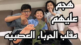 مقلب الحرباء برغد وبدر وشغالتنا ميري 😭😭!!