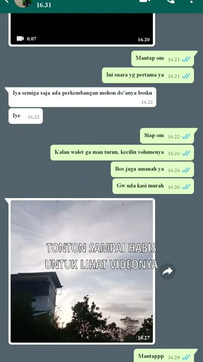 SUARA WALET TERBAIK DAN TERBUKTI DARI SAHABAT WALET ID