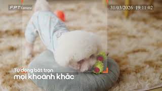 TÍNH NĂNG AI NHẬN DIỆN THÚ CƯNG TRÊN FPT CAMERA screenshot 3