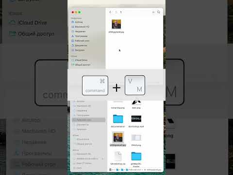 Копирование и перенос файлов в macOS