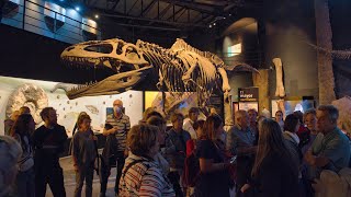 Trelew Museo Feruglio Puerto Madryn. Noviembre 2022 - 4K