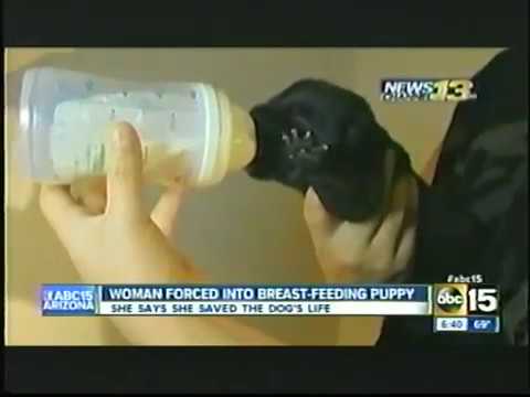 WEIRD STORY: Woman breastfeeds puppy - YouTube