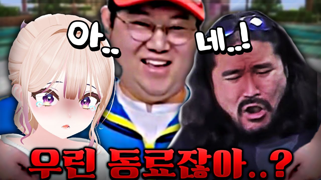 스트야 우리 동료맞지...?