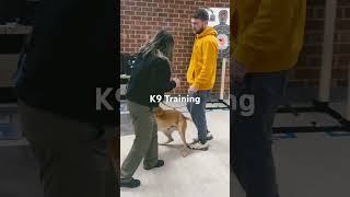 K9 Training