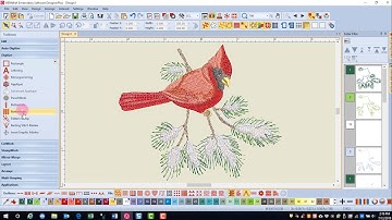 15.01 Master BERNINA Embroidery Software 8—Introduction to the Digitizing Toolbox