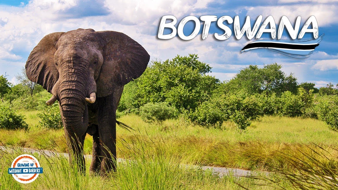 Botswana - Where Animals Roam Free! | 90+ Countries With 3 Kids