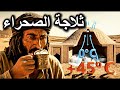 سر الياخشال كيف صنع القدماء الثلج في قلب الصحراء قبل 2000 عام