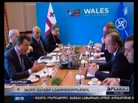 ვინ რას ელოდება ნატო-სგან - მმართველი გუნდის და ოპოზიცის შეფასებები