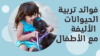 فوائد تربية الحيوانات الاليفة مع الاطفال ? | pets  | doctor  | دكتورة_الانسانية | cat | dog