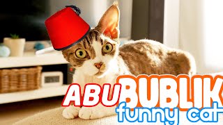 Abu Bublik funny cat by Bublik funny cat 150 views 3 years ago 5 minutes, 6 seconds