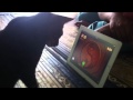 Blackie plays Fruit Ninja