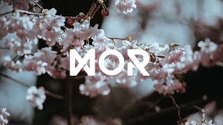 DUAN - Bloom feat. Julia Lostrom (QUIET BISON Remix)