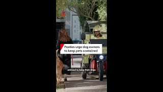 Posties urge dog owners to keep pets contained during lead-up to Christmas after spike in attacks