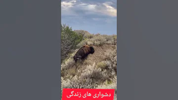 زندگی تلخ مشکلات هدف 