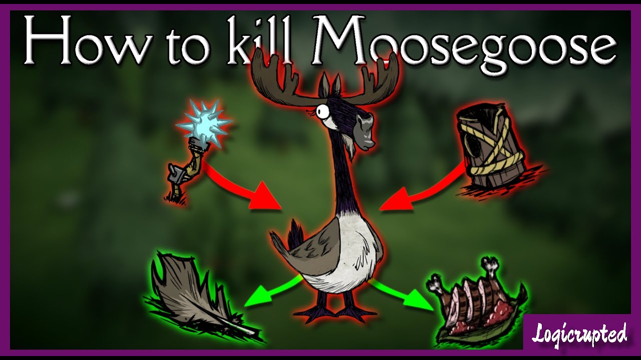 How to kill Moose/Goose in Don't starve together! - Boss guide