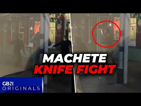 Nigel Farage FUMES after MACHETE knife fight in front of terrified train passengers: LAWLESS Britain