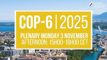 #MinamataCOP6: Afternoon Plenary (3 November 2025)