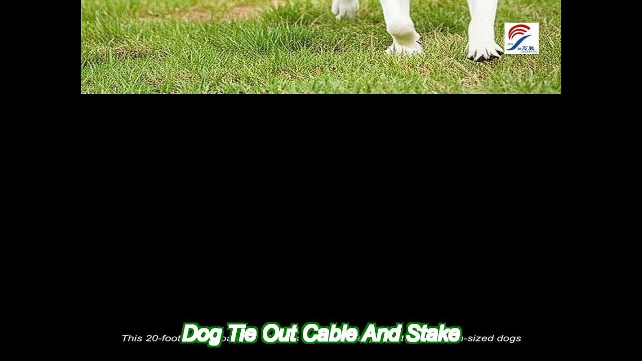 high carbon steel dog tie out cable and stake with 1000lbs tensile force and 20 foot length