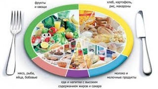 Режим правильного питания. Режим правильного питания.