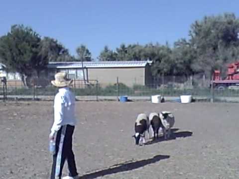 Sandra Davis & Bridgit Herding