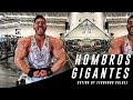 HOMBROS GIGANTES CON ESTA RUTINA! FERNANDO VALDEZ