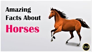 15 Incredible Facts about Horses | Interesting Facts | LET ME KNOW