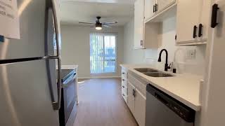 245 Serrano 1 Bed 1 Bath