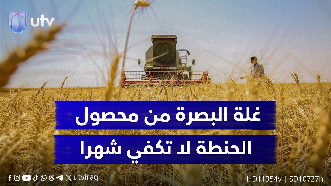 غلة البصرة من محصول الحنطة لا تكفي شهرا.. صراع بين التوسع النفطي ...