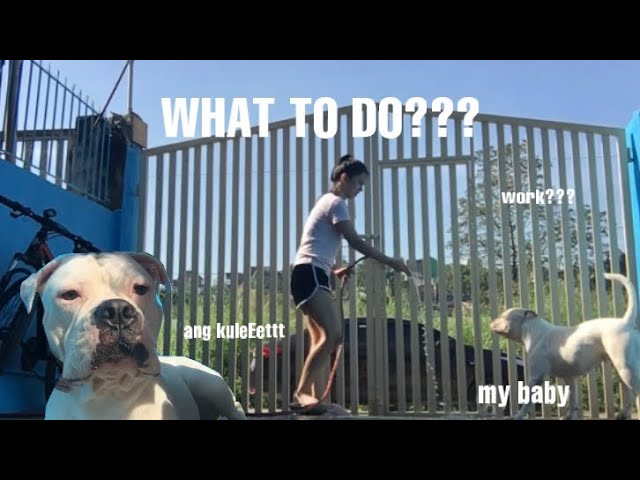 NAGPAKA PRODUCTIVE (HIRAP HAHAHAHA) | Ally Masarque