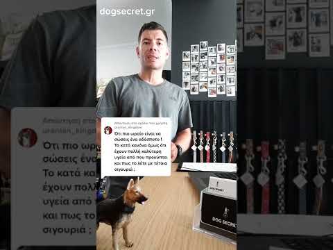Γιατί τα ημίαιμα