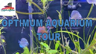 Optimum Aquarium Tour - Atlanta area