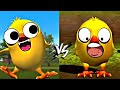 El Toro y el Pollito del Canción 🤩🤣🎶🐤La Vaca lola🐄😁El Tractor y el Toro🌈la vaca lola remix