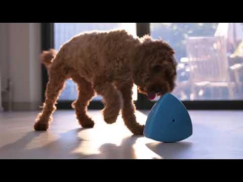 PetSafe Ricochet Electronic Squeak Dog Toys for All Dogs, Battery-Operated,  2 Smart Paired Toys