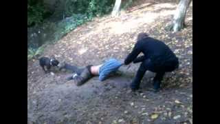 1 Dog Vs 2 Humans Tug Of War