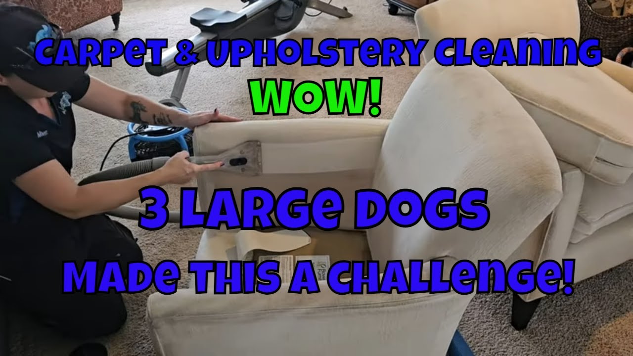 Carpet And Upholstery Cleaning Greenville NC. YouTube