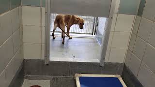 acs A659713