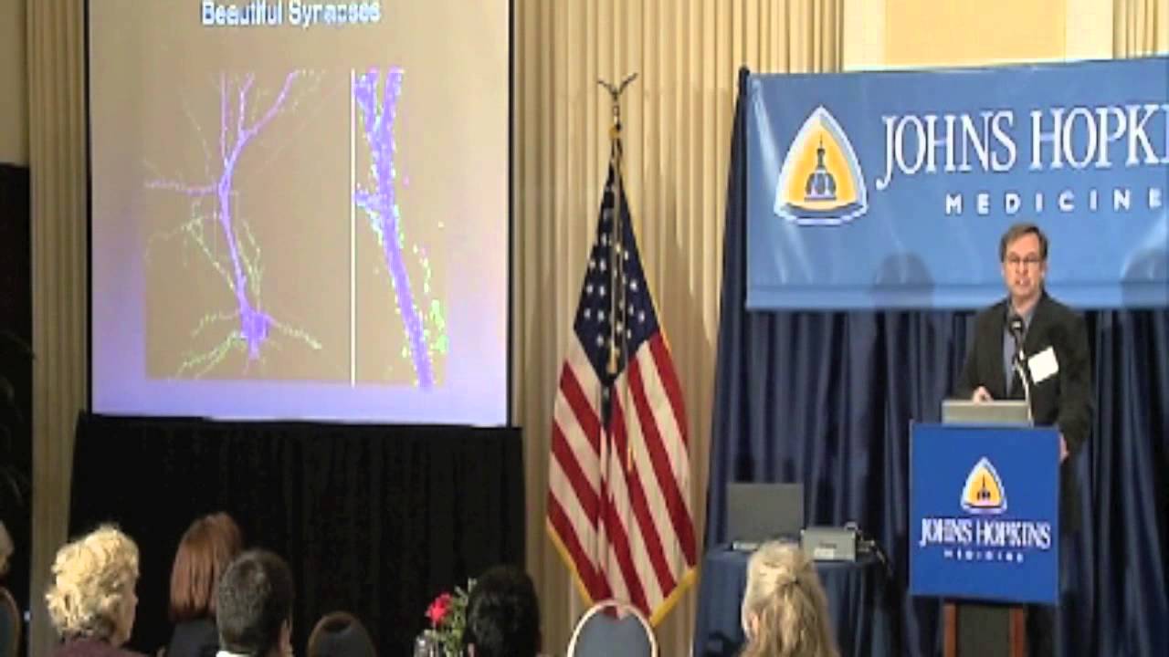 Brainiacs: Erasing Emotional Memory