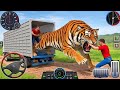 Animal Cargo Truck Driving Game 3D - Animal Transport Cargo Truck 2024 - Android Gameplay