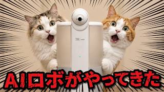 最新のAIペットシッターがウチにやってきてくれました！！！
