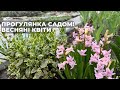 Прогулянка садом та ВЕСНЯНІ КВІТИ