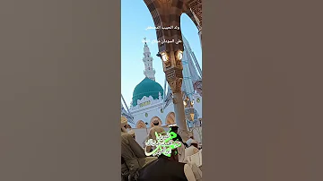 ولد الحبيب المصطفى نبينا يا بحر الصفى 