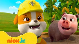 Rubble voert reddingsacties uit in de natuur! | Compilatie van 1 uur | Nick Jr. Nederlands