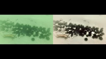Minimal Color Loss and Locally Adaptive Contrast Enhancement for Underwater Image Enhancement