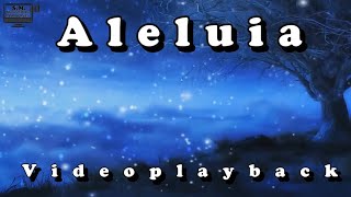 Aleluia - (Hallelujah) - Videoplayback com legenda - Patrícia Souza